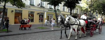 Одесский зоозащитник сдал в полицию карету с лошадьми, - ФОТО