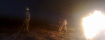 В Запорожской области во дворе дома сгорели 400 тюков соломы, - ФОТО
