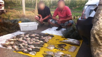 В Подгородном водный патруль задержал браконьеров с сетками и рыбой