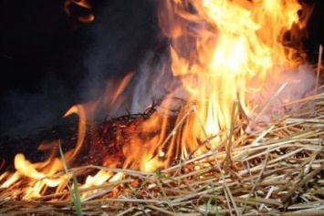 В Запорожской области горело восемь тонн соломы