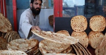 Ученые узнали рецепт хлеба, которому 14 тысяч лет