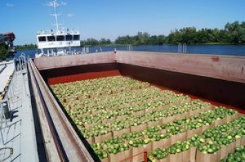 Стало известно, когда в этом году первая баржа с херсонскими арбузами отправится в Киев