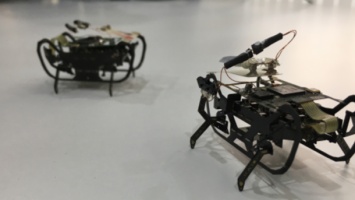 Rolls-Royce разрабатывает роботов-тараканов для ремонта самолетов