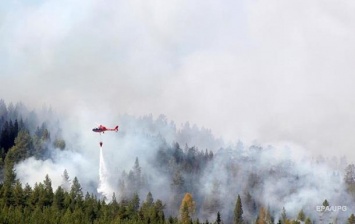 Швеция просит ЕС помочь с тушением лесных пожаров