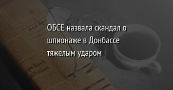 ОБСЕ назвала скандал о шпионаже в Донбассе тяжелым ударом