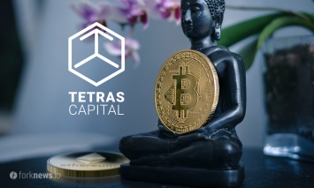 Tetras Capital дает рекомендации по инвестированию