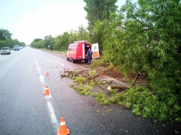За прошедшие сутки спасатели Николаевщины дважды убирали поваленные непогодой дерева