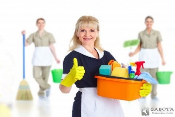 Опытная домработница - гарантия чистоты вашего дома