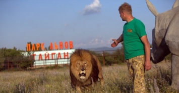 Тут вам не Россия: в Крыму лев прокусил руку пьяной туристке