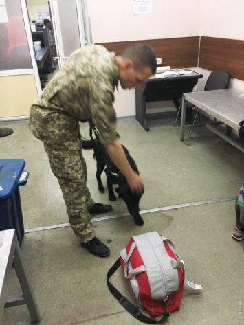 В Одесском аэропорту у турка нашли патроны от парабеллума (фото)