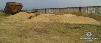 В Запорожской области из зернохранилища украли больше тонны пшеницы
