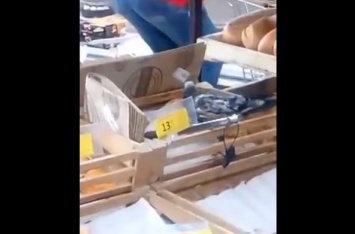 В киевском супермаркете завелся наглый голубь-дегустатор. ВИДЕО