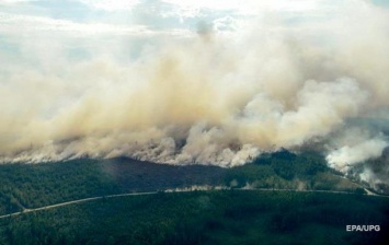 В Швеции будут тушить не все лесные пожары