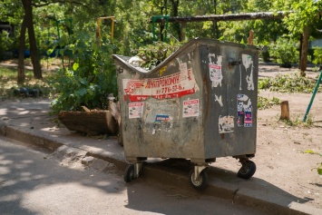 Древопад в Днепре: дерево помяло мусорный бак и упало на детскую площадку