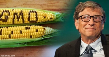 Билл Гейтс считает, что ГМО -? абсолютно здоровая еда?. Врачи согласны