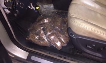 Спрятал в панель приборов автомобиля: Украинец пытался вывезти в Польшу 5 кг янтаря