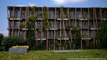 "Город-губка": как Берлин реагирует на меняющийся климат