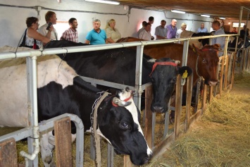 В Запорожской области молочную ферму открыли благодаря американскому гранту