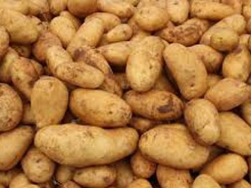 Какой картофель ни в коем случае нельзя употреблять в пищу: 3 подсказки, которые могут спасти от отравления