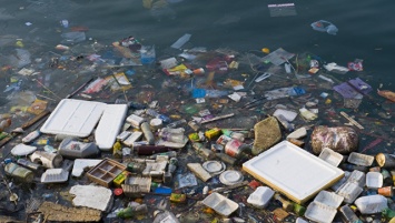 Ученые сообщили о вреде наночастиц в составе пластика для Мирового океана