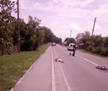 Под Львовом пьяный депутат от "Свободы" врезался в автобус и насмерть сбил велосипедистку