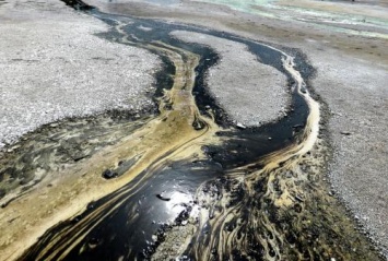 Жители Ржевки обеспокоены нефтью в ручье Горелый