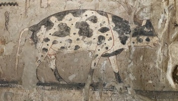 В Египте археологи при раскопках гробниц обнаружили фрески и кувшины