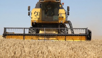 Крым приостановит вывоз зерна за рубеж из-за низкого урожая