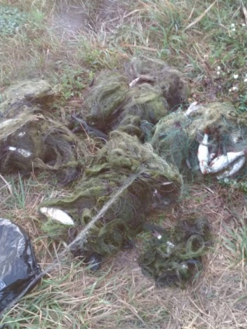 В Николаевской области на реке Висунь поймали браконьера со щукой, линями, окунями!