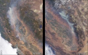 Инсайдер: Фото пожаров от NASA раскрыли финансовое преступление