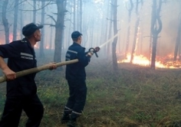 Количество лесных пожаров увеличивается