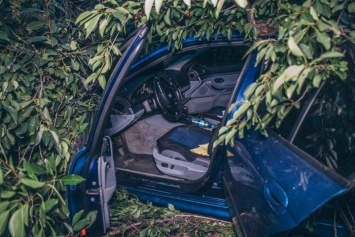В Киеве во время погони египтянин разбил три машины и врезался в дерево