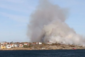 В Швеции из-за сигнальной ракеты загорелся остров (видео)