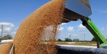 МинАПК и агротрейдеры договариваются ограничить экспорт продовольственного зерна - проект Меморандума
