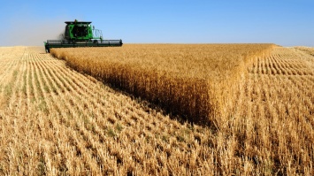 Глава Минагропрода: ограничение экспорта зерна не будет