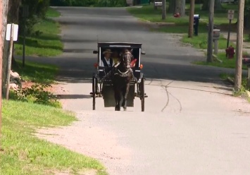 Амиши запустили собственный Uber. С лошадью и каретой