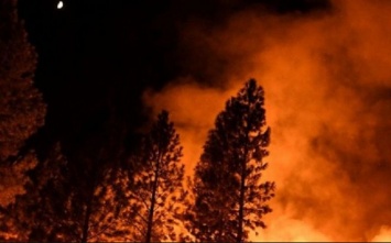 Масштабные пожары в Кыргызстане - введено чрезвычайное положение