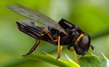 Ученые создают роботов-пчел, которые помогут выживать пчелосемьям