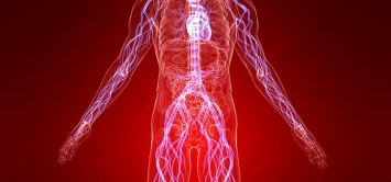 9 эффективных способов борьбы с воспалением и для максимального снижения веса