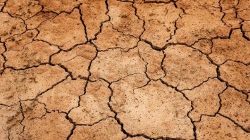 Австралию накрыла сильнейшая за полвека засуха