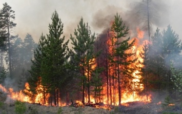 На Днепропетровщине объявили наивысший уровень пожароопасности