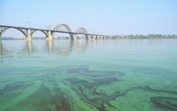 Украинцам объяснили, чем так опасно цветение днепровской воды