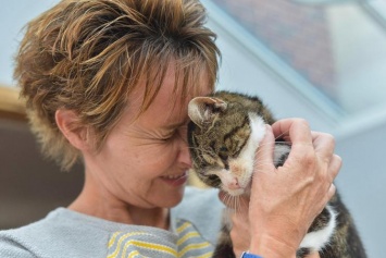 Кошка вернулась домой через 13 лет после исчезновения (фото)