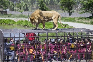 В Китае есть зоопарк, в котором в клетках сидят люди