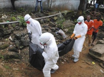 Медики нашли панацею в борьбе с вирусом Эбола