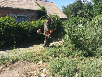 Озвучены предварительные итоги покоса травы в Бердянске