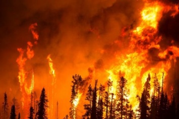 Огненная катастрофа: Ученые назвали варианты предотвращения Апокалипсиса