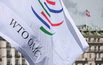 Россия и Евросоюз заявили о победе в споре в ВТО