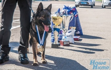 В Днепре собака-чемпион всех порвала на соревнованиях