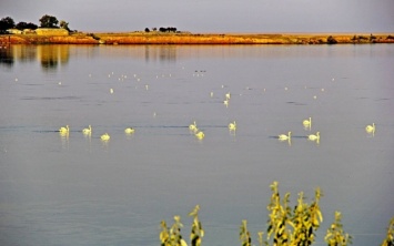 Богата уникальными пейзажами Херсонская земля, - в соцсетях публикуют фото залива Сиваш
